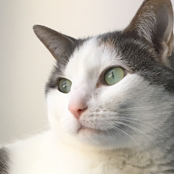 Meet your Posher, Heather - Picture 3 of 3